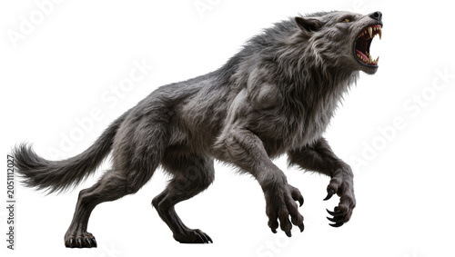 Schilderij op canvas Fierce werewolf with open mouth and sharp teeth, grey fur
