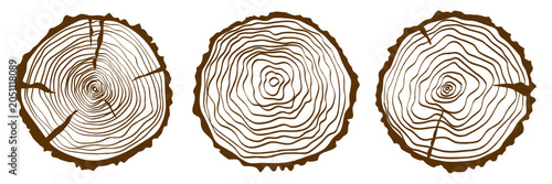 Tree ring wood trunk cut line texture pattern doodle annual luxury template with elegant golden wood slice contours and abstract flowing bark shapes on dark background