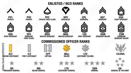 Fotografie Military rank insignia symbols chart.