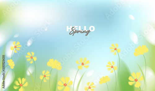 Hello spring vector background with yellow cosmos flowers and sunny blue sky. Soft pastel watercolor floral template for greeting card, easter, seasonal sale banner, poster and wallpaper.
