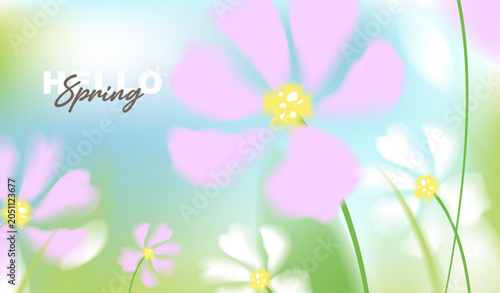 Hello spring vector background with white and pink cosmos flowers. Soft pastel watercolor floral template on sunny blue sky for greeting card, wedding, seasonal sale banner and wallpaper.