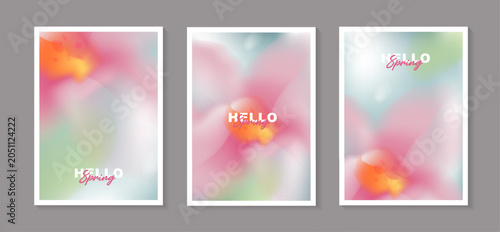 Set of spring floral poster templates with abstract blurred fluid gradient background, soft focus pastel flower illustration for vertical banner, social media story, greeting card design.