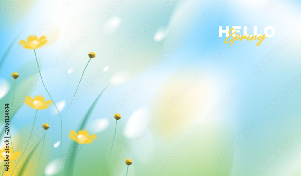Obraz premium Hello spring greeting card vector background with copy space, abstract soft blue sky and yellow wildflower blossom blooming in fresh grass field with blurry bokeh light for seasonal nature banner.