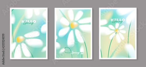 Hello spring poster template vector set, vertical greeting card banner collection with beautiful white daisy flowers blooming in soft green blue pastel background for seasonal holiday design.