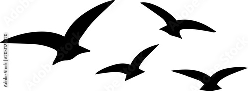 Cuadro en lienzo Flock of birds flying silhouette vector illustration, migratory seagulls black s