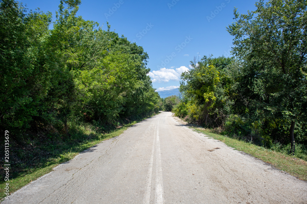 Naklejka premium Quiet rural road lined with green trees and vegetation near Lake Limmi in Greece under a clear blue sky.