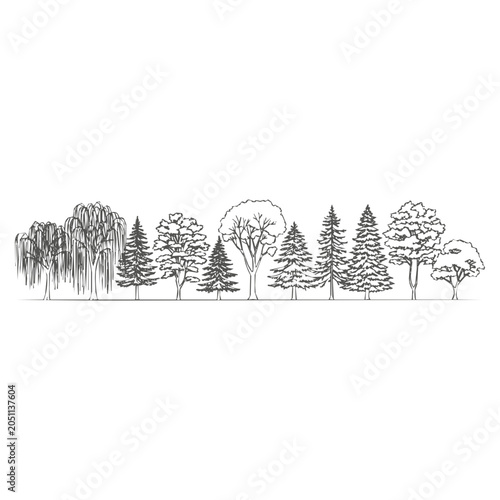 Minimalist hand-drawn trees sketch featuring a diverse forest line art set with pine and willow silhouettes for landscape design