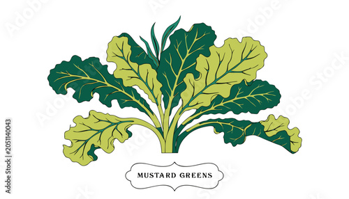 Картината върху платно Very beautiful vibrant mustard greens featuring broad textured leaves, realistic