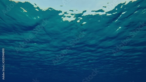 An underwater view of the calm ocean surface with fine ripples. The surface of blue water in calm weather. Natural background of blue water surface with small ripples on it during calm weather.