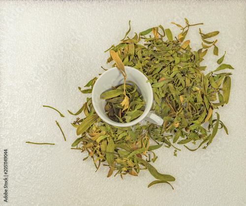 Dried mistletoe (mistletoe growing on pine trees) scattered on fresh snow beside a white ceramic cup. Natural winter herbal composition with copy space, showcasing traditional botanical ingredients, s