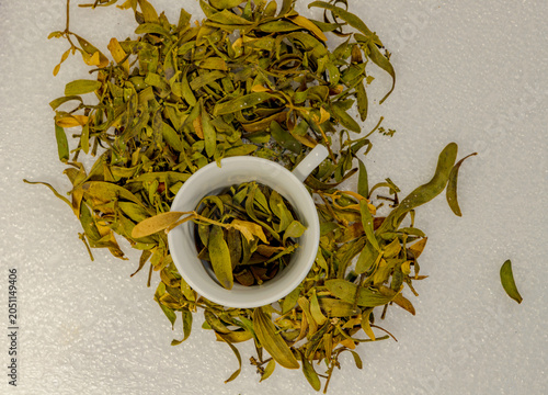 Dried mistletoe (mistletoe growing on pine trees) scattered on fresh snow beside a white ceramic cup. Natural winter herbal composition with copy space, showcasing traditional botanical ingredients, s