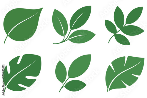 Green leaf silhouette set on transparent background with various tropical and deciduous foliage
