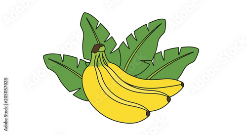 Ripe bananas with green leaves illustration for design and commercial purposes