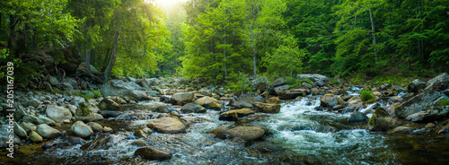Photography Crystal clear mountain stream flowing among large granite boulders in a lush green forest