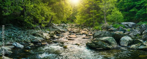 Panel kuchenny z motywem Crystal clear mountain stream flowing among large granite boulders in a lush green forest. Fresh spring landscape with rushing water and sunlit trees in a natural wilderness setting.
