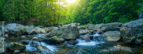 Fotografie Crystal clear mountain stream flowing among large granite boulders in a lush green forest
