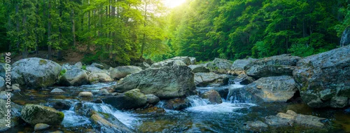 Panel kuchenny z motywem Crystal clear mountain stream flowing among large granite boulders in a lush green forest. Fresh spring landscape with rushing water and sunlit trees in a natural wilderness setting.