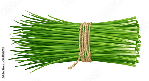 Fresh chives bundle tied with twine during natural daylight