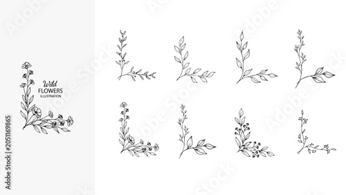 Wild Flower Corner Illustrations and Decorative Elements in Black and White vector illustration