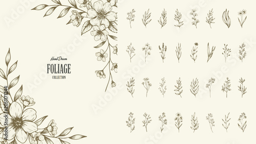 Hand Drawn Foliage Collection Vintage Floral Elements and Botanical Illustrations vector illustration