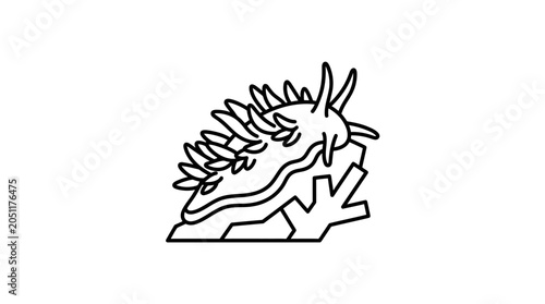 Nudibranch on coral rock line art design