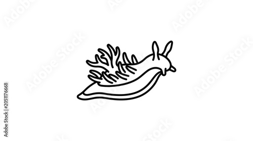 Foto Sleek nudibranch sea slug line art icon