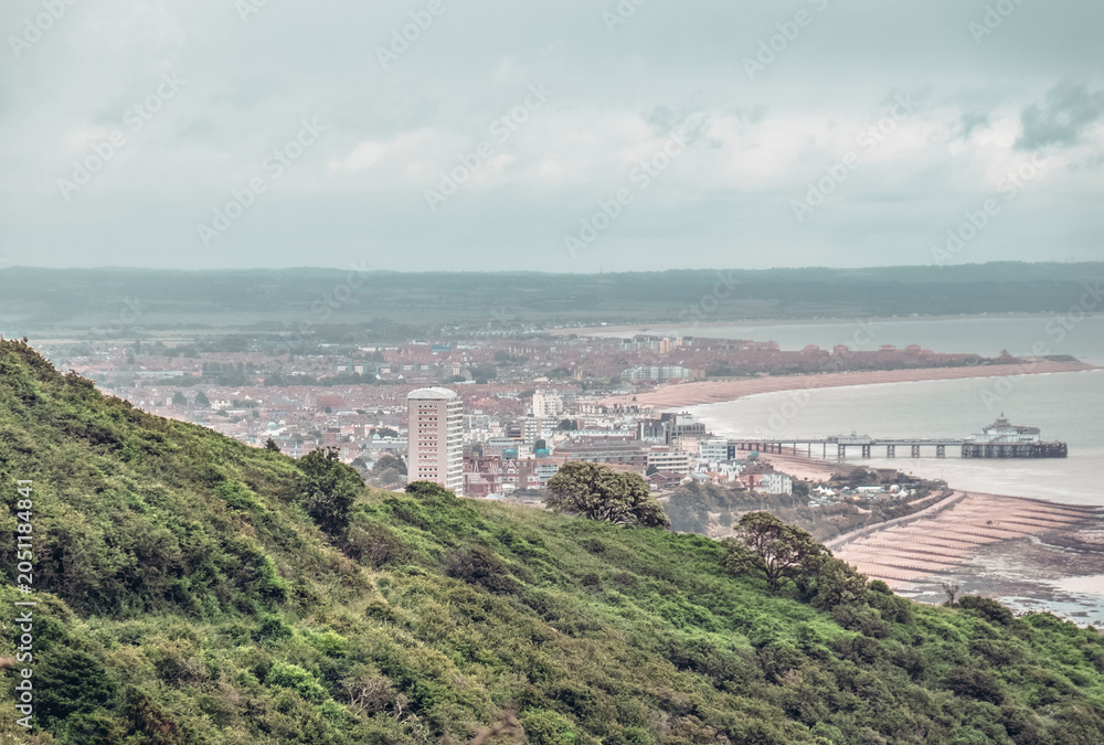 Fototapeta premium panoramic view of the seaside town of Eastbourne in East Sussex, England