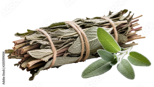Fotografie Bundle of dried sage herb tied with twine, with fresh sage leaves