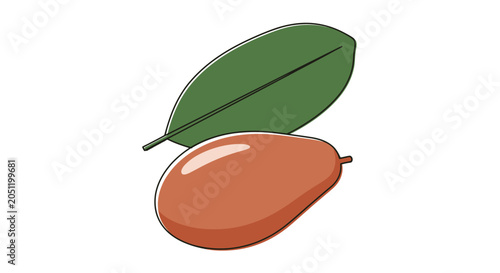 Stylized illustration of mango and leaf isolated on white background