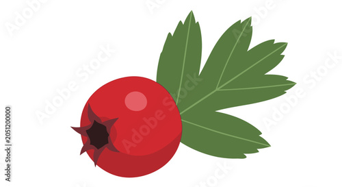 Vibrant red berry with green leaf isolated on white background graphic