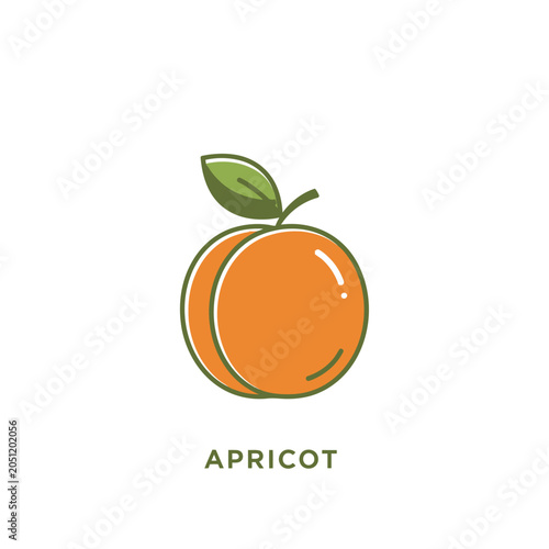 Fresh apricot fruit icon with green leaf on white background