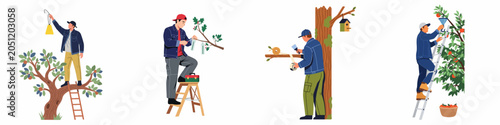 Flat vector illustrations of male gardeners performing seasonal tree care tasks like pruning, harvesting apples, and protecting trunks against a white background.