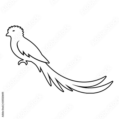 Canvastavla Resplendent Quetzal1
