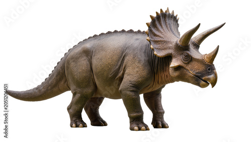 Foto Triceratops dinosaur with three horns and bony frill