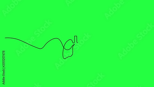 Animated Human Lungs Line Drawing Reveal on Green Screen – Continuous Respiratory System Motion Graphic