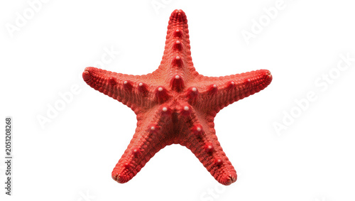 Foto Red starfish with five arms and textured surface