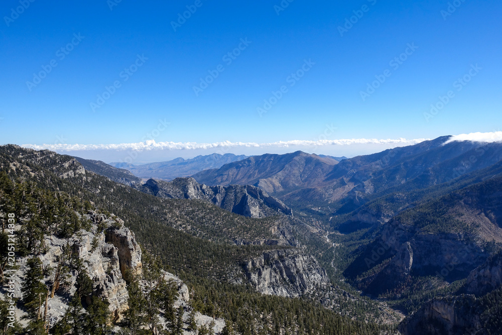 Fototapeta premium Panoramic mountain valley near Charleston Peak Nevada with limestone cliffs forested slopes and distant desert ranges