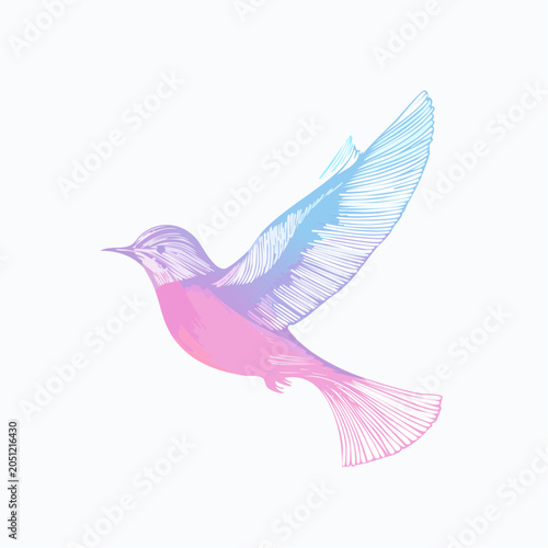 Graceful Line Art Bird Illustration with Vibrant Gradient Colors Symbolizing Freedom and Artistic Expression