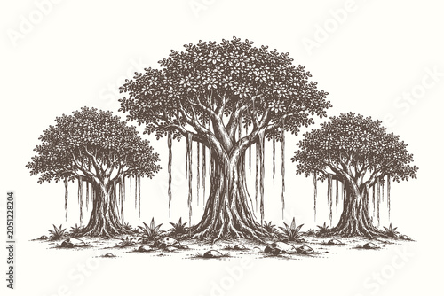 Vintage engraved banyan tree landscape vector illustration with aerial roots and detailed botanical scenery elements for design use