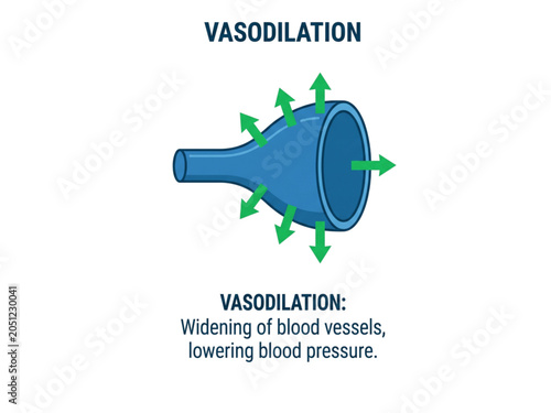 Vasodilation illustration displays the widening of a blood vessel which helps in effectively lowering systemic blood pressure within the human cardiovascular system for medical educational purposes.