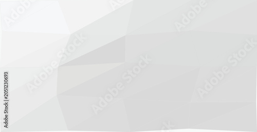 Bild auf Leinwand Elegant low poly abstract background with subtle geometric triangular facets and lines