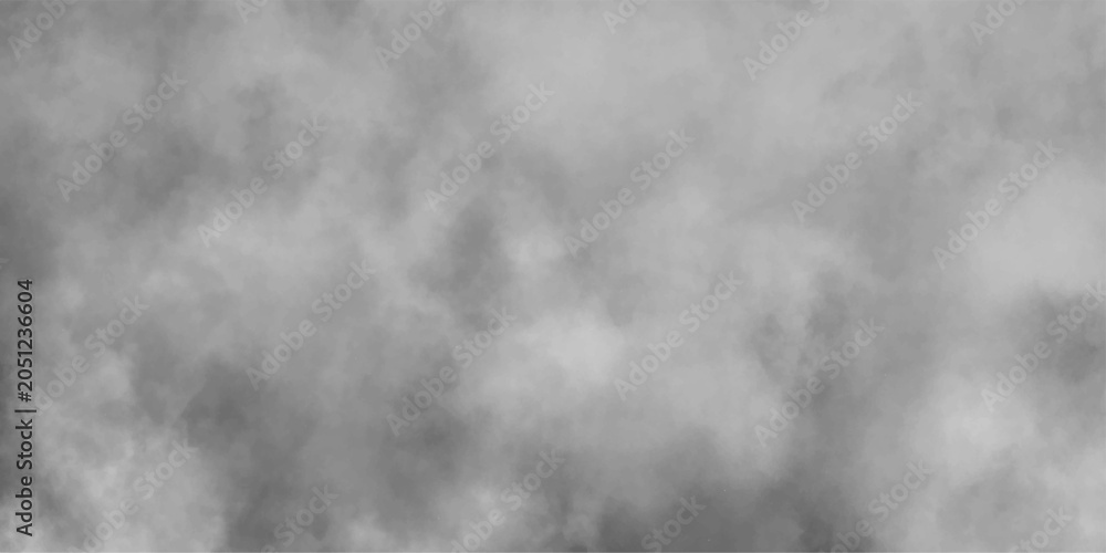 Fototapeta premium Abstract white and gray isolated cloud cumulus clouds. Gray aquarelle painted realistic fog or mist smoky textured canvas design. White and ash messy wall stucco texture background.