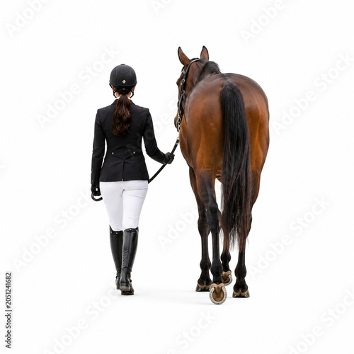 Rear view of an equestrian rider in formal riding attire leading a horse while walking side by side. Isolated on a clean white background, the image represents horseback riding, equestrian sports.