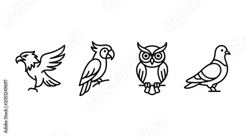 Konstfotografi Collection of bird species line drawings including eagle parrot owl and pigeon icons for avian wildlife education and birdwatching themes