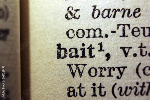 Картината върху платно Word bait on dictionary page, macro close up