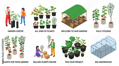 Fotografie Tomato Plants And Garden Structures Colorful Vector Illustration
