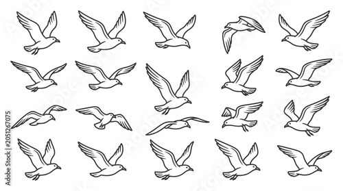 Seagull vector illustrations - collection of flying birds in different poses