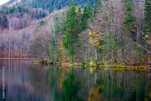 View on lake Laudach near Gmunden; Austria