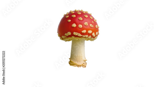 Canvas Print Red mushroom with white spots and yellow fringe