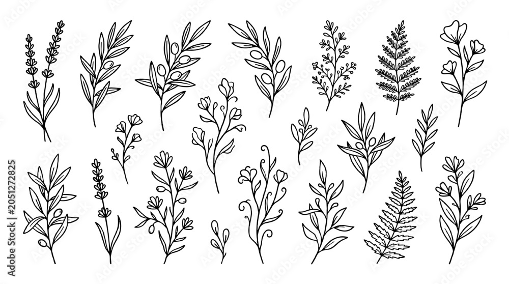 Fototapeta premium Hand drawn botanical leaf and floral branch set outline vector